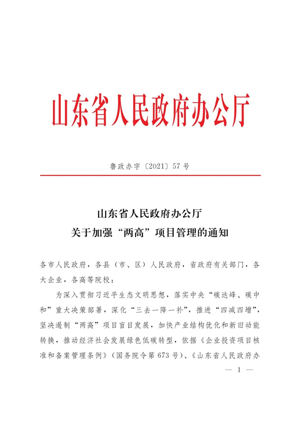 山東省人民政府辦公廳關于加強“兩高”項目管理的通知（附兩高項目管理目錄）