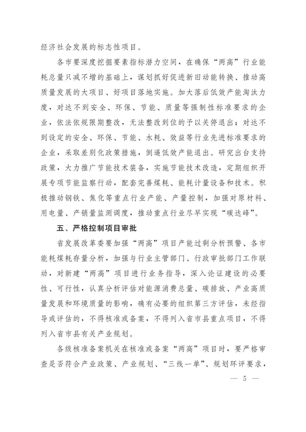 山東省人民政府辦公廳關于加強“兩高”項目管理的通知（附兩高項目管理目錄）