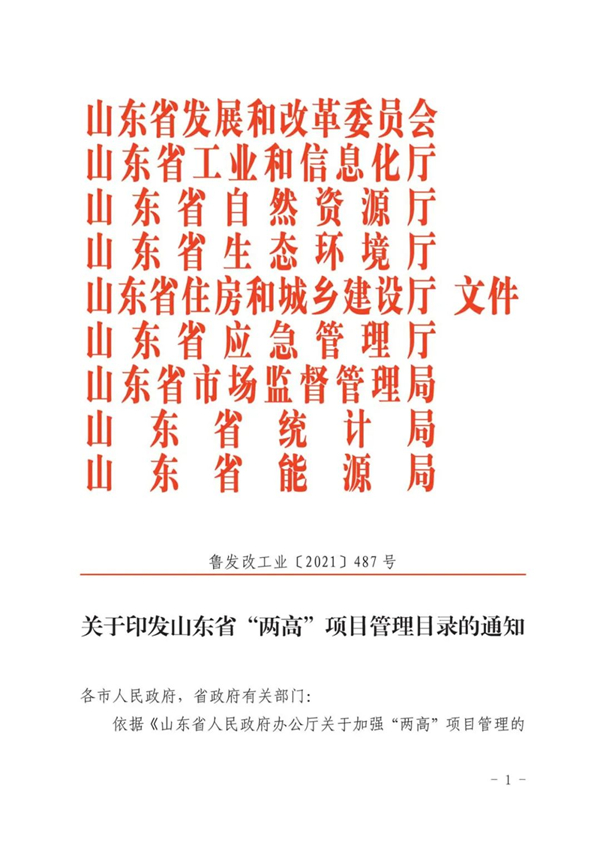 山東省人民政府辦公廳關于加強“兩高”項目管理的通知（附兩高項目管理目錄）
