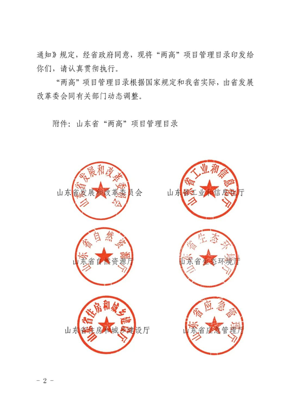 山東省人民政府辦公廳關于加強“兩高”項目管理的通知（附兩高項目管理目錄）
