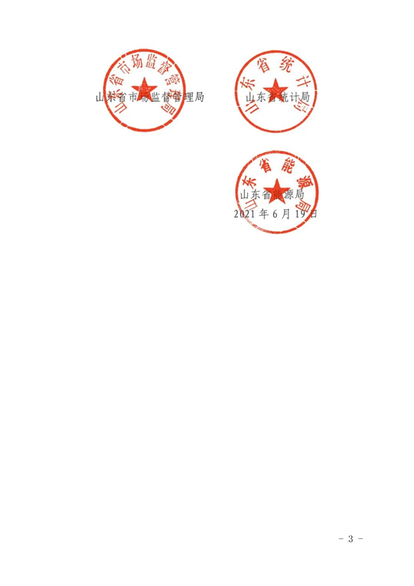 山東省人民政府辦公廳關于加強“兩高”項目管理的通知（附兩高項目管理目錄）