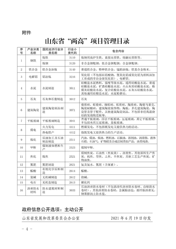 山東省人民政府辦公廳關于加強“兩高”項目管理的通知（附兩高項目管理目錄）